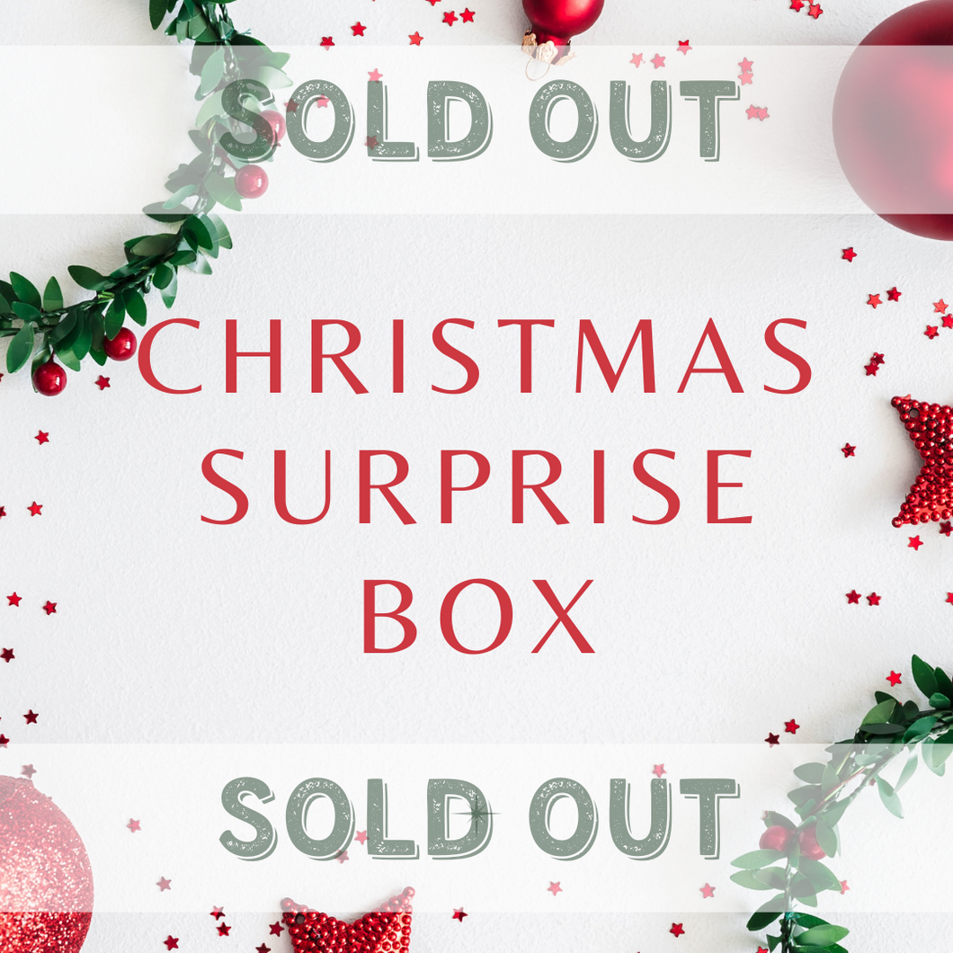 Christmas Surprise Box